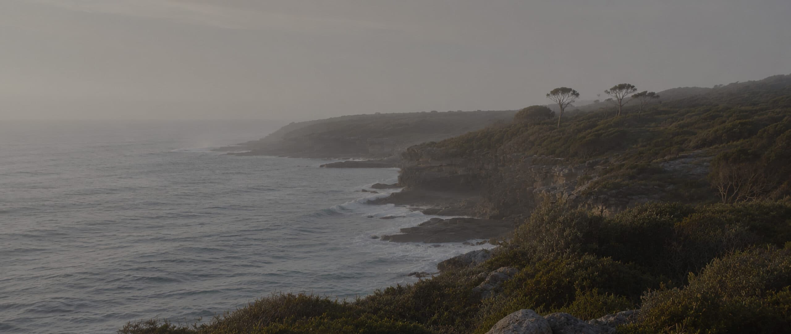 ocean